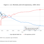 Excess Death and the Future of Deathcare