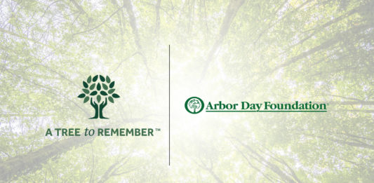 Future of “A Tree to Remember” Program Includes New Partnerships, More Transparency