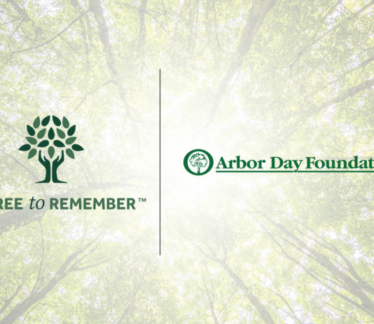 Future of “A Tree to Remember” Program Includes New Partnerships, More Transparency